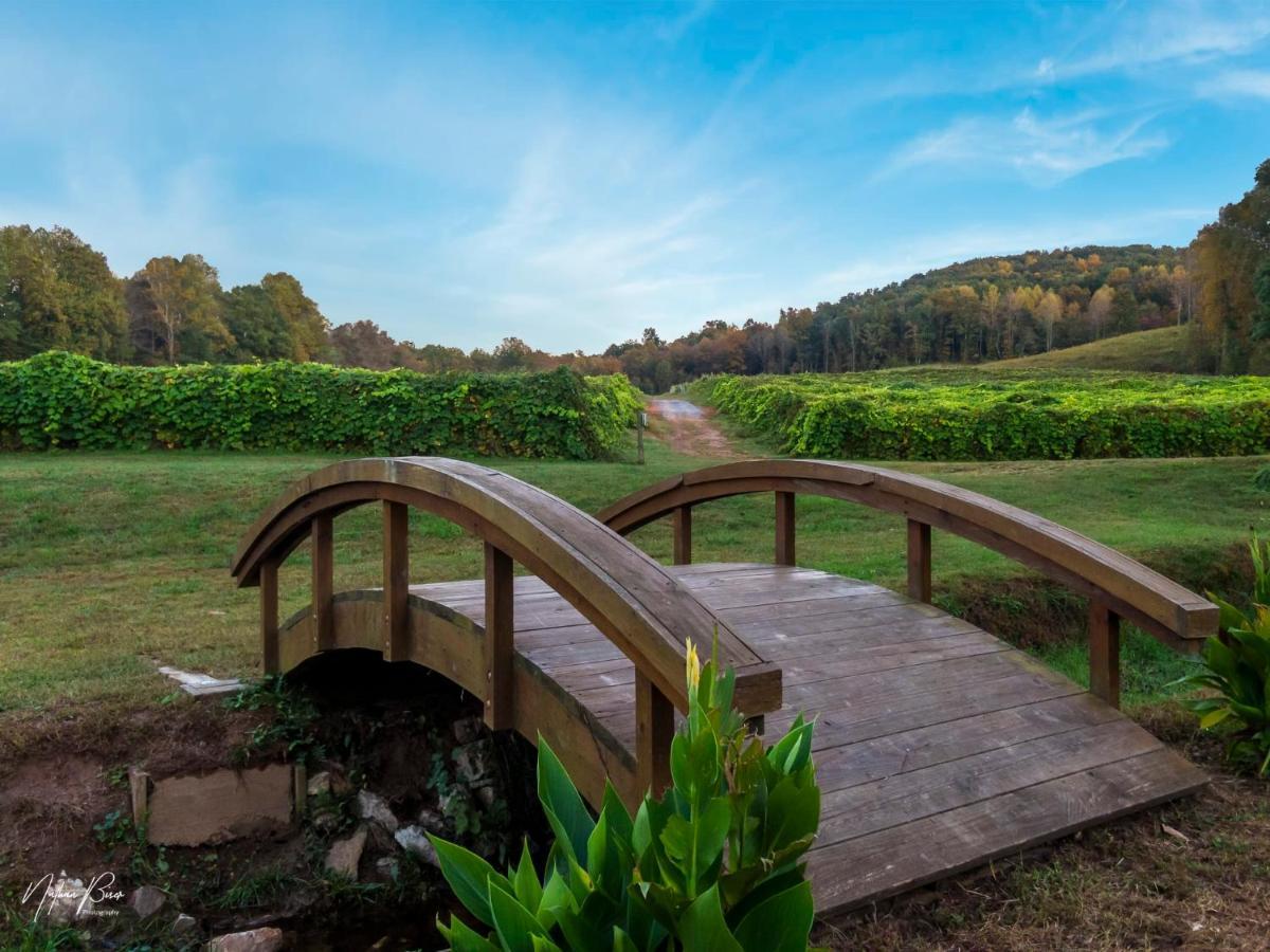 Log Cabin With Mountain View And Privacy Blue Ridge Exterior photo