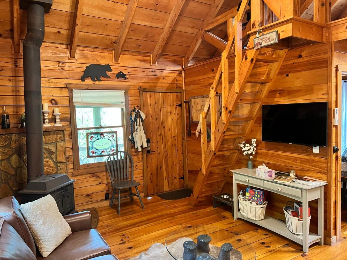 Log Cabin With Mountain View And Privacy Blue Ridge Exterior photo