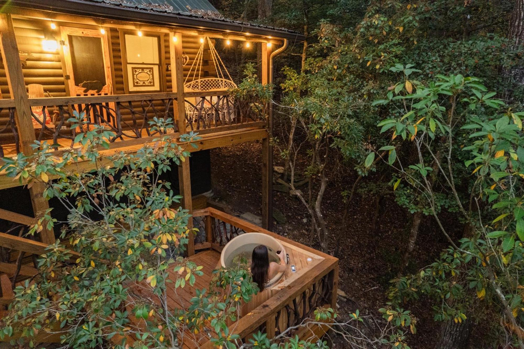 Log Cabin With Mountain View And Privacy Blue Ridge Exterior photo